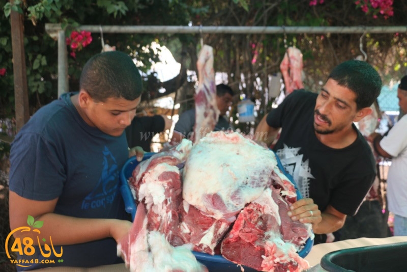 lod8om ada73y (84).JPG